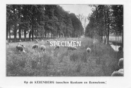 Prent - Op De Keienberg Tusschen Renkum En Bennekom - 8.5x12.5 Cm - Otros & Sin Clasificación