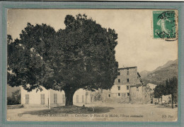 CPA (06) CASTELLEAR - Thème: ARBRE - Aspect De L'ORME Centenaire En 1903 - Autres & Non Classés