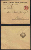 SUISSE - KEMPTTHAL - MAGGI - ALIMENTATION / 1908 ENTIER POSTAL PRIVE  (ref 4040b) - Entiers Postaux