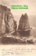 R359481 I. O. M. Sugar Loaf Rock. Hartmann. 1907 - World