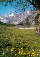 72781811 Pertisau Achensee Almwiese Alpengasthof Gramai Karwendelgebirge Maurach - Altri & Non Classificati