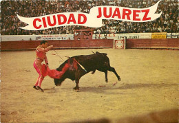 Corrida - The Kill - Juarez Bull Ring - Old Mexico - Carte Neuve - CPM - Voir Scans Recto-Verso - Corrida