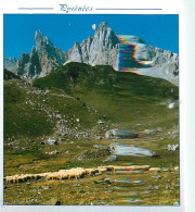 65 - Hautes Pyrénées - Vallée D'Aspe - Les Aiguilles D'Ansabère - Moutons - CPM - Voir Scans Recto-Verso - Andere & Zonder Classificatie