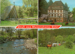 Gruss Aus Mulartshütte / Eifel - Campingplatz Maria Küpper - Sonstige & Ohne Zuordnung