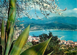 20 - Ajaccio - Vue Générale Sur La Ville Et Le Golfe - Carte Neuve - CPM - Voir Scans Recto-Verso - Ajaccio