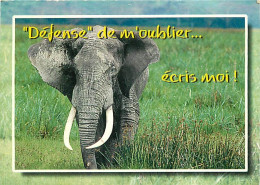 Animaux - Eléphants - Carte Humoristique - CPM - Voir Scans Recto-Verso - Éléphants