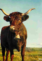 Animaux - Vaches - Portrait - Cloche - CPM - Voir Scans Recto-Verso - Koeien