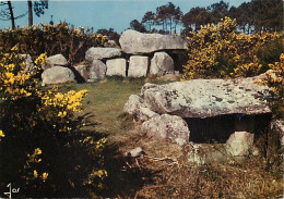 56 - Morbihan - Monuments Mégalithiques De Mané-Kerioned Près De Carnac - CPM - Voir Scans Recto-Verso - Altri & Non Classificati