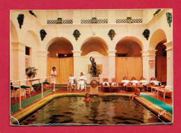 Z250 66 PYRENEES ORIENTALES AMELIE LES BAINS LES THERMES ROMAINS - Sonstige & Ohne Zuordnung