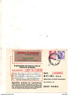 1982 Cartolina Con Annullo MANTOVA - 1981-90: Marcofilia