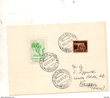 1935 VIII FESTA DELL'UVA IMPRUNETA - Storia Postale