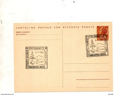 1976 CARTOLINA CON ANNULLO COSENZA VII MOSTRA FILATELICA BRUZIA - Stamped Stationery