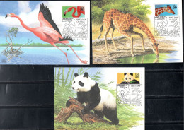 USA STATI UNITI 1992 WILD ANIMALS COMPLETE SET SERIE COMPLETA MAXI MAXIMUM CARD CARTE CARTOLINA - Cartes-Maximum (CM)
