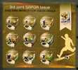 RSA 2010 Sheet Stamps Fifa World Cup 2010-fifa-1 - 2010 – Südafrika