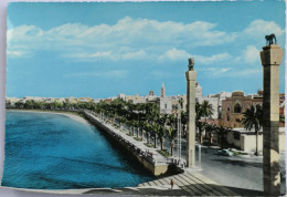 Carte Postale : LIBYE, LIBYA : TRIPOLI : Adriano Pelt Street - Libyen