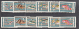 Vietnam Nord 1967 - Fishes, Mi-Nr. 485/90, Perf.+imperf., MNH** - Vietnam