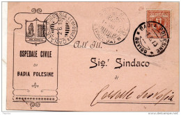 1913   CARTOLINA CON ANNULLO BADIA POLESINE   ROVIGO - Poststempel