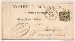 1895 LETTERA CON ANNULLO BERGANTINO    ROVIGO - Marcofilie