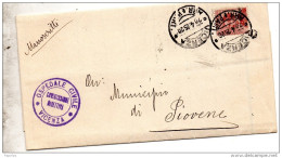 1925 LETTERA  CON ANNULLO VICENZA - Poststempel