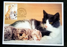 Malaysia Pets 2023 Pet Cat Cats Kitty (maxicard) - Malesia (1964-...)