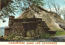 *CPM -  CHAUMIERE Dans Les Cevennes - Other & Unclassified