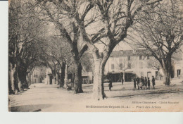 SAINT-ETIENNE Les ORGUES - Autres & Non Classés