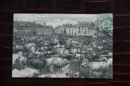 44 - CHATEAUBRIANT : Place De La Motte, Un Jour De Marché - Châteaubriant