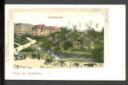 AK Magdeburg Um 1900 Louisengarten (PK0859 - Sonstige & Ohne Zuordnung