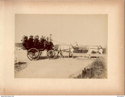 JERSEY FIN 19e SIECLE VOITURE D'EXCURSION A PLEMONT  PHOTO ORIGINALE DE 17 X 12 CM COLLEE SUR CARTON - Anciennes (Av. 1900)