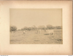JERSEY ROUTE DE SAINT PIERRE PHOTO ORIGINALE SUR CARTON 23x18CM FORMAT PHOTO 16X12CM - Alte (vor 1900)