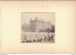 EDIMBOURG ECOSSE CHATEAU DE HOLYROOD  FIN 19em PHOTO ORIGINALE 8.50X7CM SUR CARTON DE 18X13CM - Oud (voor 1900)
