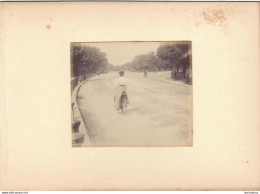 LONDRES HYDE PARK FIN 19em PHOTO ORIGINALE 8.50X7CM SUR CARTON DE 18X13CM R1 - Old (before 1900)