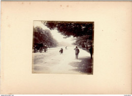 LONDRES HYDE PARK FIN 19em PHOTO ORIGINALE 8.50X7CM SUR CARTON DE 18X13CM R2 - Anciennes (Av. 1900)