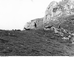 BERGER ET SON TROUPEAU AGRICULTURE ELEVAGE PHOTO ORIGINALE  24 X 18 CM R2 - Métiers