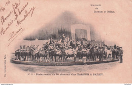 CIRQUE BARNUM ET BAILEY  PERFORMANCE DE 70 CHEVAUX 1903 - Circo