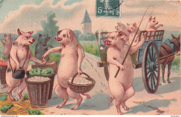 COCHONS HUMANISES LE MARCHE - Schweine