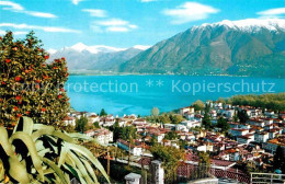 12858239 Locarno Lago Maggiore Panorama Alpen Locarno - Other & Unclassified