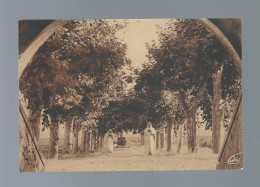 CPA - 83 - Saint-Maximin - Couvent Des Pères Dominicains - L'Allée Des Platanes - Circulée - Saint-Maximin-la-Sainte-Baume