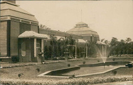 EGYPT - ALEXANDRIA / ALEXANDRIE - LA GRANDE SERRE ET JARDIN MODERNE - RPPC POSTCARD - MAILED - 1930s (12652) - Alexandrië