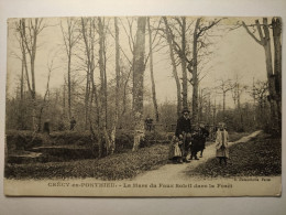 CRECY EN PONTHIEU - La Mare Du Faux Soleil Dans La Forêt - Crecy En Ponthieu