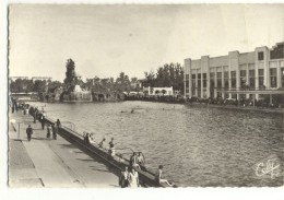 31/ CPSM - Toulouse - La Piscine Du PArc Municipal. La Cascade Et Le Rocher - Toulouse