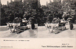 4V4Sb   Photo Vue Stéréoscopique Julien Damoy Paris Jardin D'Acclimatation La Voiture Aux Anes - Photographs