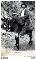 64 LES PYRENEES TYPE DE MONTAGNARD SUR SON ANE N°46 EDIT LABOUCHE - Autres & Non Classés