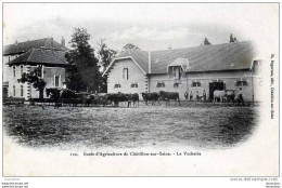 21 CHATILLON SUR SEINE ECOLE D'AGRICULTURE LA VACHERIE - Chatillon Sur Seine