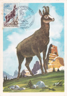 1er Jour, ISARD, Parc National Des Pyrénées Occidentales - 1970-1979