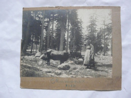 SUPERBE PHOTO ANCIENNE ( 22 X 16,5 Cm) - CHAMONIX  : Scène Animée - Fermière - Animaux - 1910 - Plaatsen