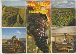 Vendanges En Champagne 51 Carte Circulée Timbrée  Multivues ( 5 )  Souvenirs - Other & Unclassified