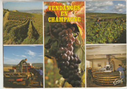 Vendanges En Champagne 51 Carte Circulée Timbrée  Multivues ( 5 )  Souvenirs - Sonstige & Ohne Zuordnung