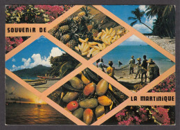103787/ Martinique, Souvenir De - Sonstige & Ohne Zuordnung
