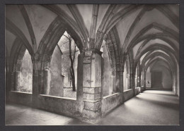 113528/ PRAGUE, Praha, St. James Church, Cloister Of The Minorite Monastery, Bazilika Sv. Jakuba,Ambit Kláštera Minoritů - Tchéquie